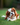 Category Collagen For Dog